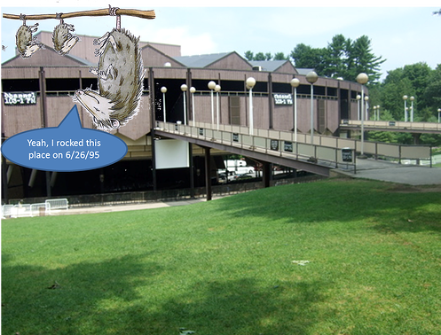 phish-spac-possum-95